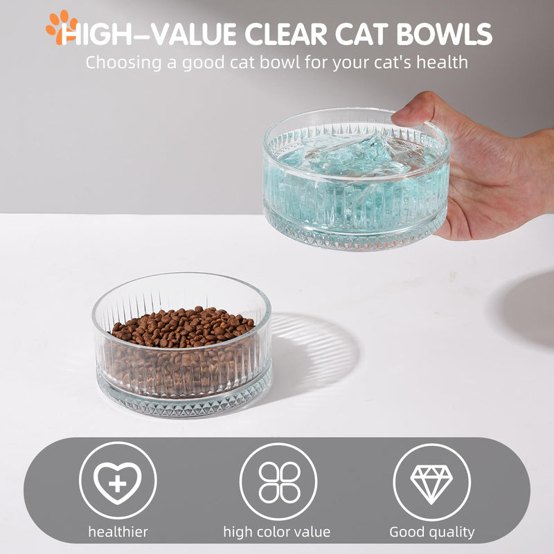 Set of 2 Glass Cat Bowls, Food and Water Bowls for Cats, Kity, 2pcs Cat Dishes, Cat Feeder (5.1 inch, 2 x Transparent Dish Bowls Glacial Rocks Raise The Water Level - BeesActive Australia