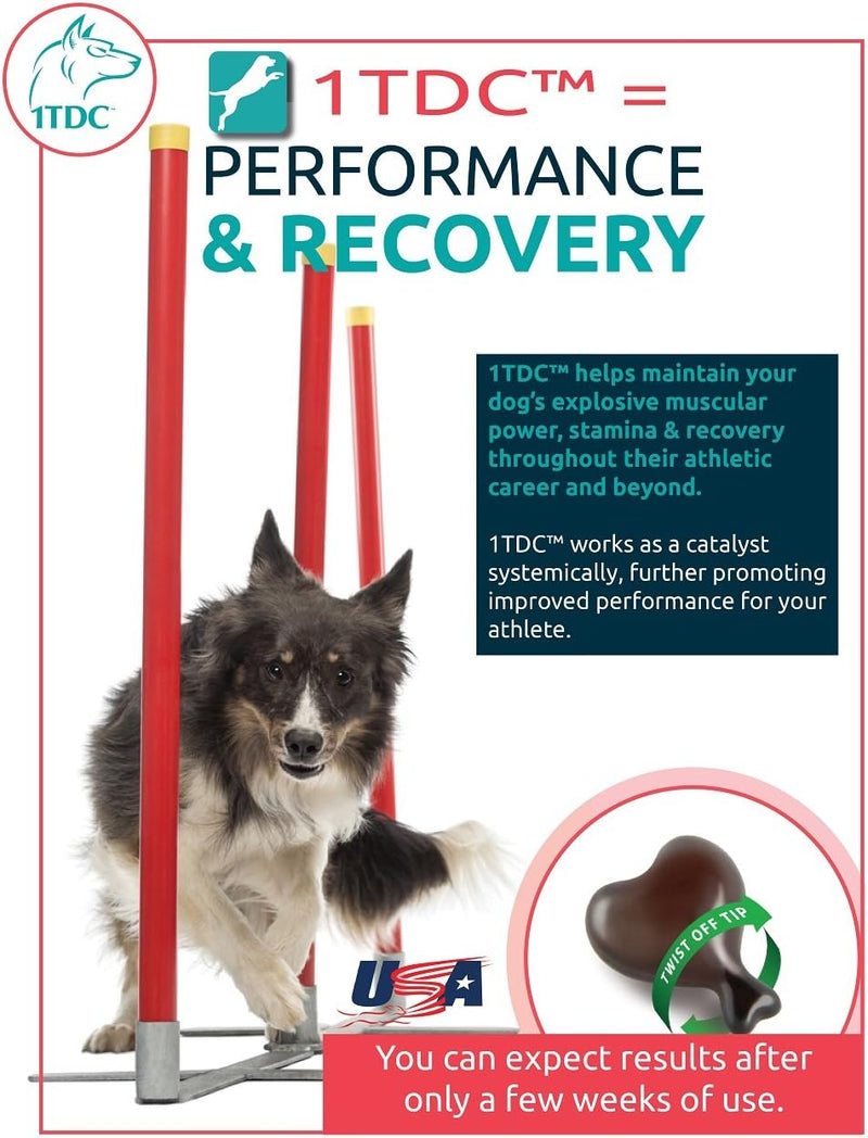 1TDC Dual Action Natural Support Periodontal & Joint Health – Twist Off SoftGels for Dogs & Cats (4- in - 1 Wellness) Supports Oral, Hip & Joint Health, Muscle & Stamina Recovery, Skin & Coat Health 30 SoftGels - BeesActive Australia