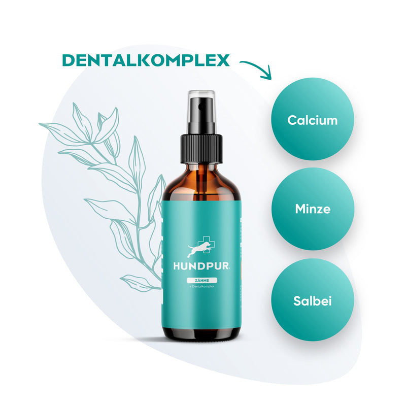 Dental Complex Teeth - Dental and Mouth Spray for Pleasant Fresh Breath, Supports Teeth and Gums, with Natural Ingredients such as Mint, Eucalyptus and Sage, 100 m