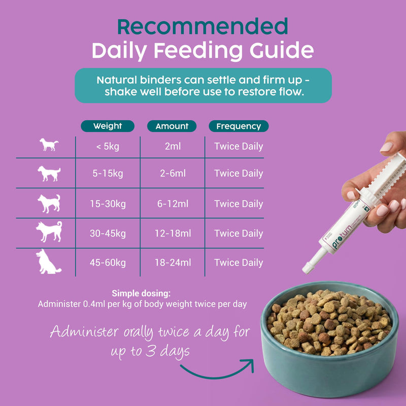 Protum Probiotic Paste for Dogs - 30ml Advanced Prebiotic Formula for Digestive Support - Tasty Flavour for Canine Gut Health - Aids Digestion, Diarrhea Recovery, and Wellness Original 30cc (ml)