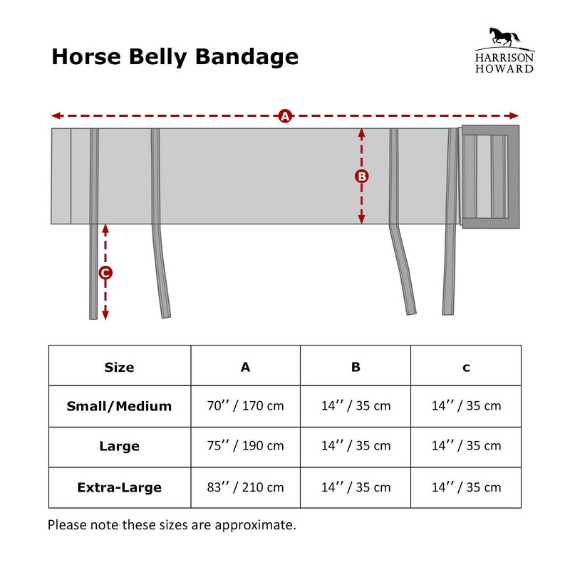 Harrison Howard spore protection belly belt protection against traces of spores skin protection, black, size XL - BeesActive Australia