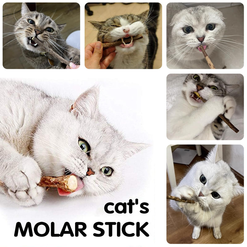 Catnip Sticks For Cats, Cat Dental Chew Sticks, Matatabi Cat Dental Care, Silvervine Cat Teeth Cleaning Dental Sticks, Cat Toys for Indoor Cats 30 pcs
