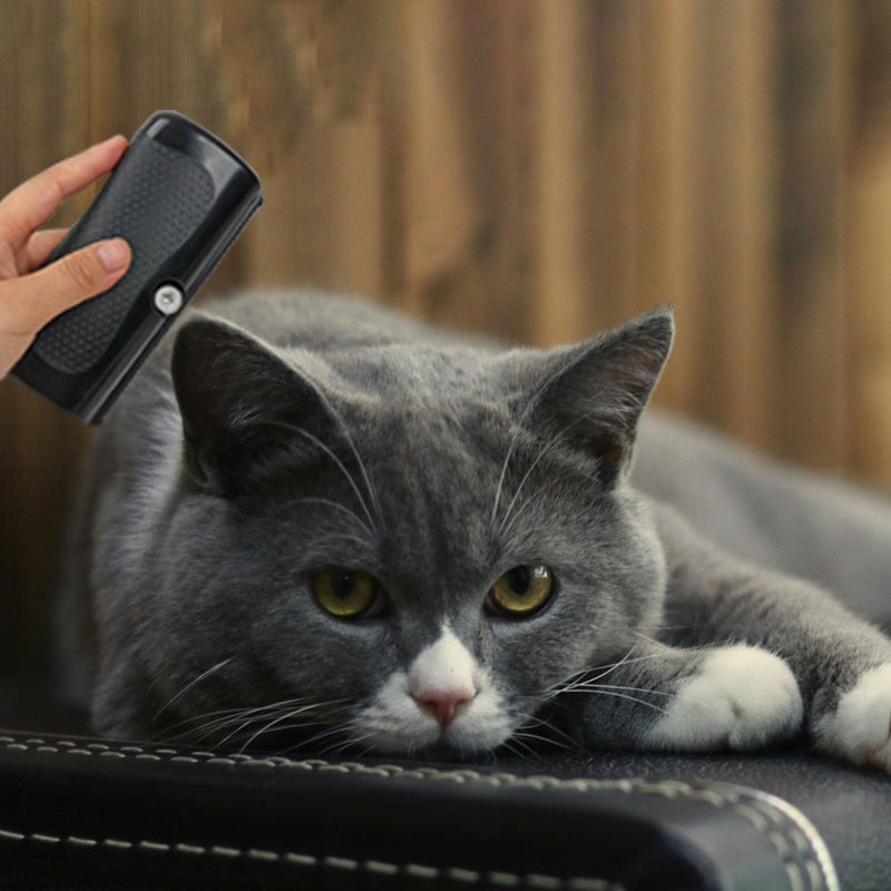 Groomify Pet Care Brush, Dog Brush Short Hair, Mr Waggytails Dog Brush, Dog Short Hair Pet Hair Removal Brush, Groom Professional Tool Cat Hair Brush, Fellwunder Brush Dog - BeesActive Australia