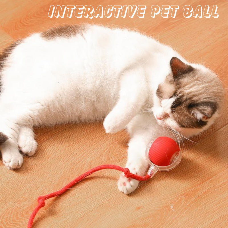 Interactive Cat Toys Ball, Automatic Moving Electric Cat Toy Rolling Ball for Indoor Cat Exercise, USB Rechargeable Red - BeesActive Australia