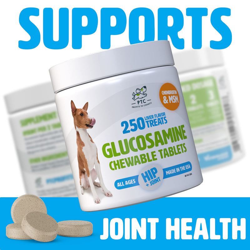 Glucosamine for Dogs with Chondroitin and MSM -Hip and Joint Supplement for Dog Mobility Support and Arthritis Pain Relief - 250 Chewable Tablet Treats 250 Count (Pack of 1)