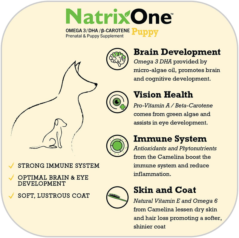 Omega 3 for Puppies 8 oz - Immune System and Cognitive Development Booster - All-Natural Skin and Coat Supplement - Made with Camelina Oil by NatrixOne - PawsPlanet Australia