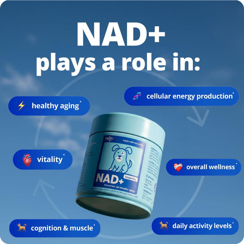 Taily NAD for Dogs – Daily Longevity Supplement – Supports Cellular Energy, Healthy Aging, Brain & Heart Function – Nicotinamide Riboside Precursor for Dogs – NAD+, Vet-Formulated, Made in USA