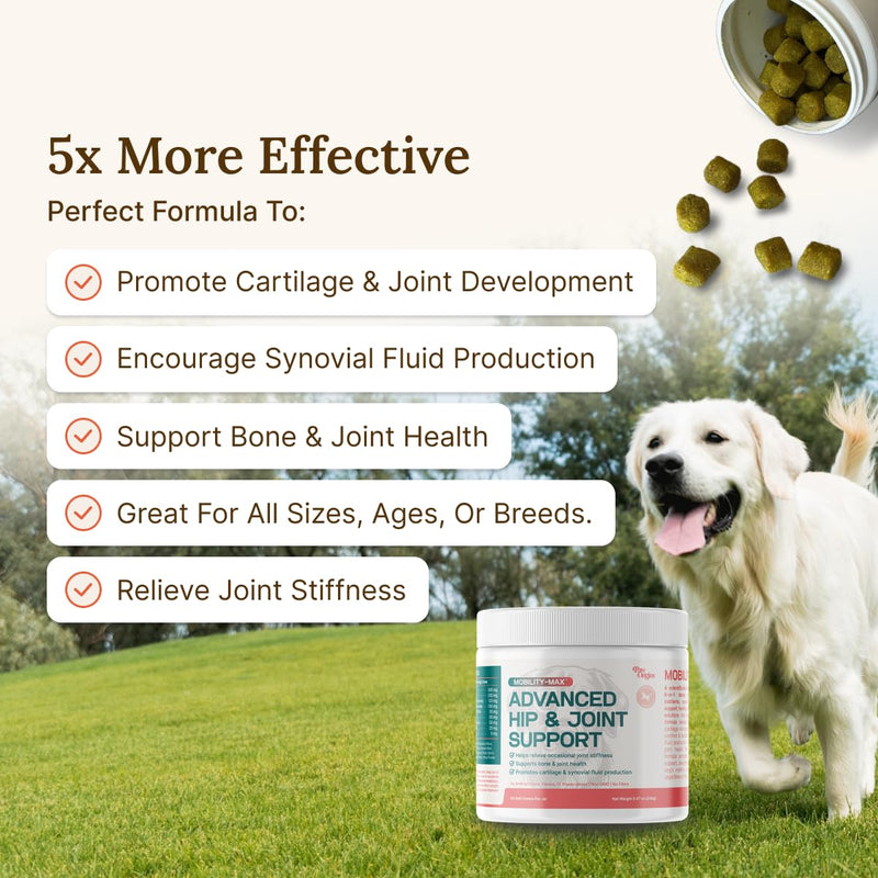 Mobility Max - Advanced Hip & Joint Supplement for Dogs - Glucosamine for Dogs - with Chondroitin, MSM, Vitamin C, for Hip and Joint Chews for Dogs - Natural Bacon Flavor - 60 Count - PawsPlanet Australia