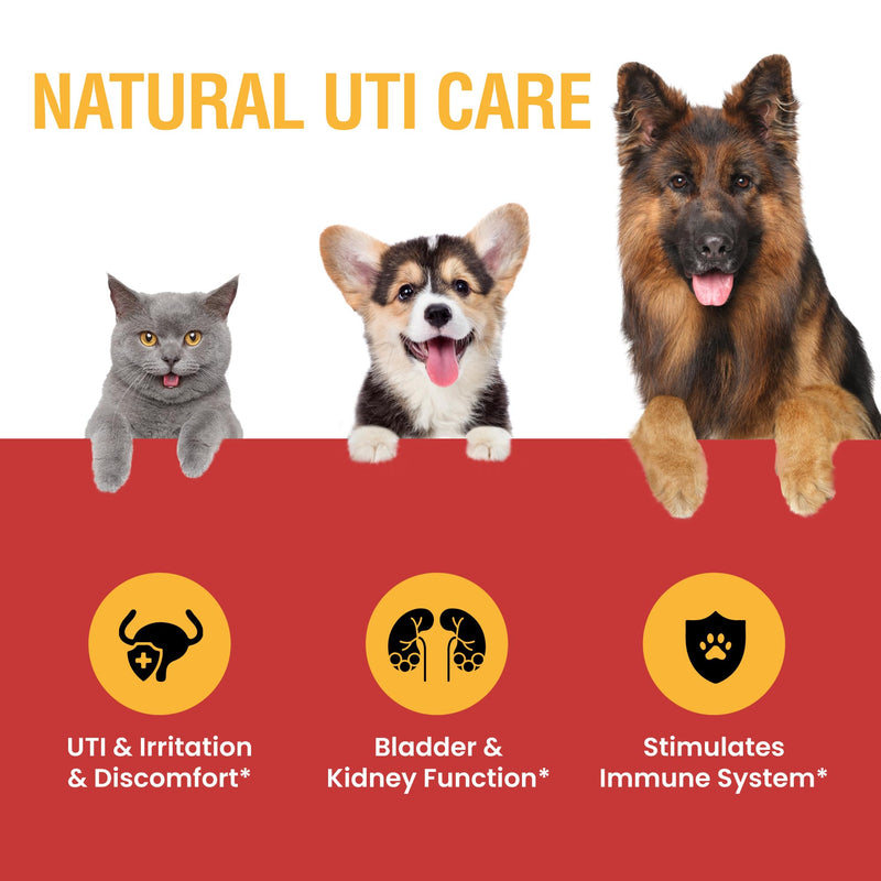 Urinary Tract Infection Treatment for Cats and Dogs - Cranberry UTI Supplement, Kidney and Bladder Support, 2 oz 2oz - BeesActive Australia