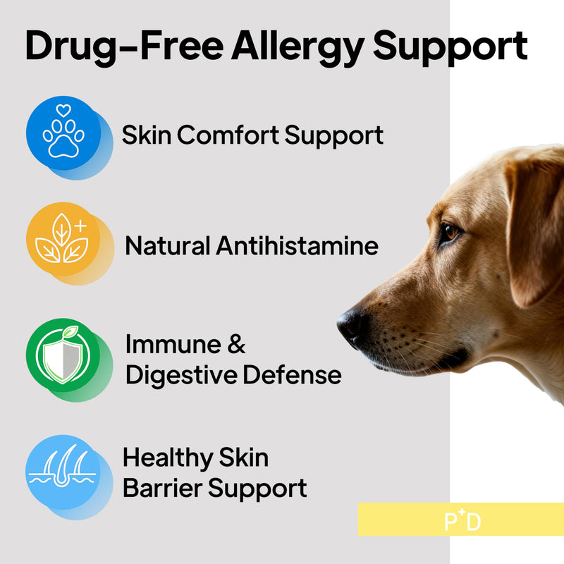 Dog Allergy Chews, Dog multivitamin Itching Skin Relief, Itchy Ears, Anti Itch, Paw Licking Treatment, Seasonal Allergies, Immune Bites, Dog Probiotics for Digestive Health & Gut Health, 60 Chews