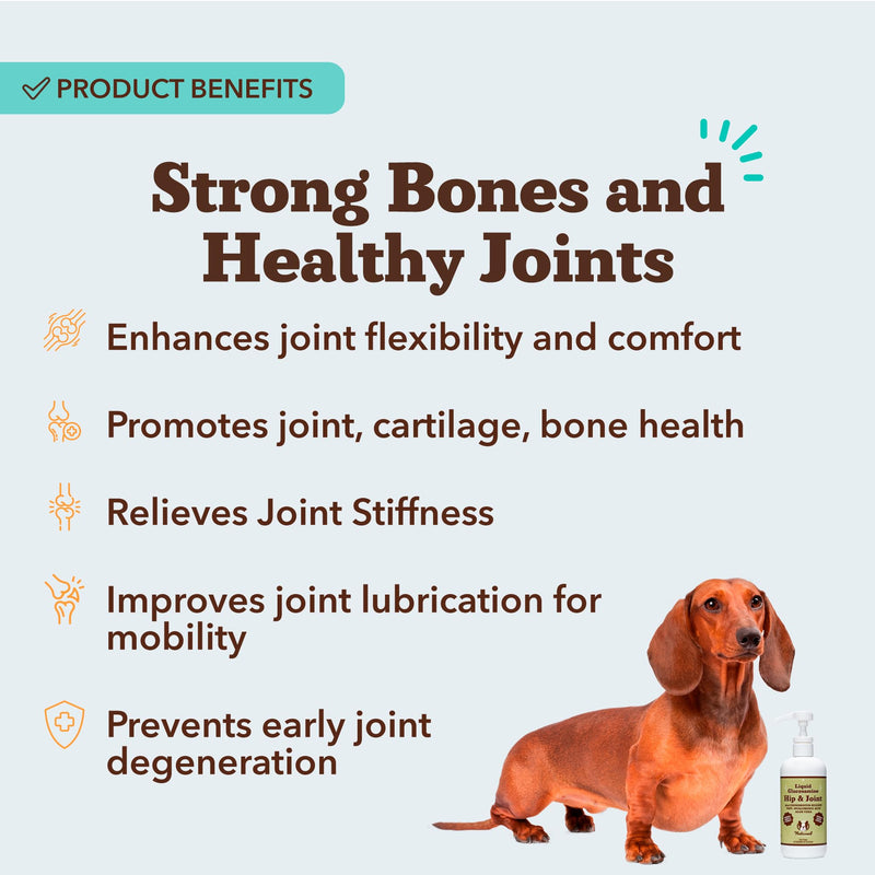Natural Dog Company Berry Superfood Topper & Hip + Joint Oil Bundle – Antioxidant Meal Topper & Liquid Glucosamine for Dogs – Mobility, Joint & Immune Support – 8 oz + 16 oz