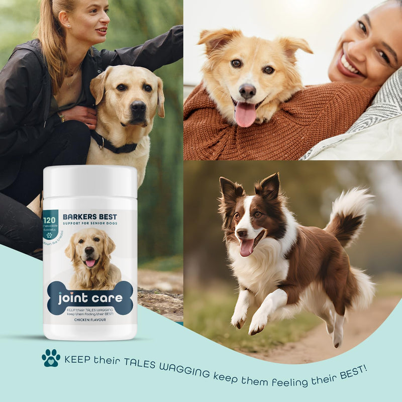 Dogs Joints Care Chewable Tablets for Adult Dogs 120 Tube with Glucosamine, Fish Oil and Vitamin C,Chicken Flavour-Barkers Best Brand