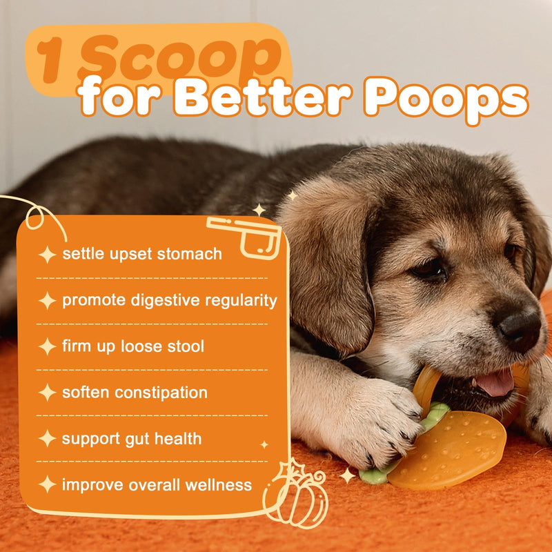 Pumpkin for Dogs - Natural Fiber for Dogs and Cats, with Apple, Dog Probiotics for Digestive Health, Support Firm Stool, Diarrhea, Constipation, Add Water to Make Pumpkin Puree for Dogs, 10.58 oz 60 Scoops - PawsPlanet Australia
