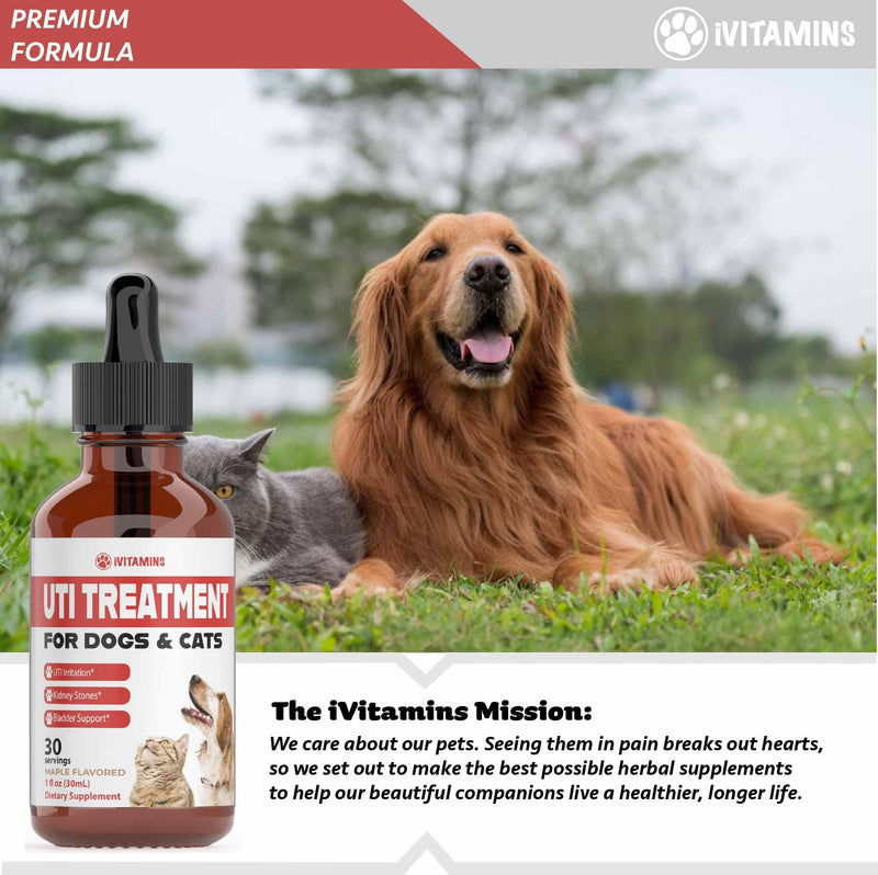 Dog UTI Treatment | Cat UTI Medicine | Cat UTI Remedy | Cranberry Supplement for Dogs | Pumpkin for Cats | Dog UTI | Cat UTI | Cranberry for Dogs | Cat Urinary Tract Infection Treatment | 1 fl oz - PawsPlanet Australia