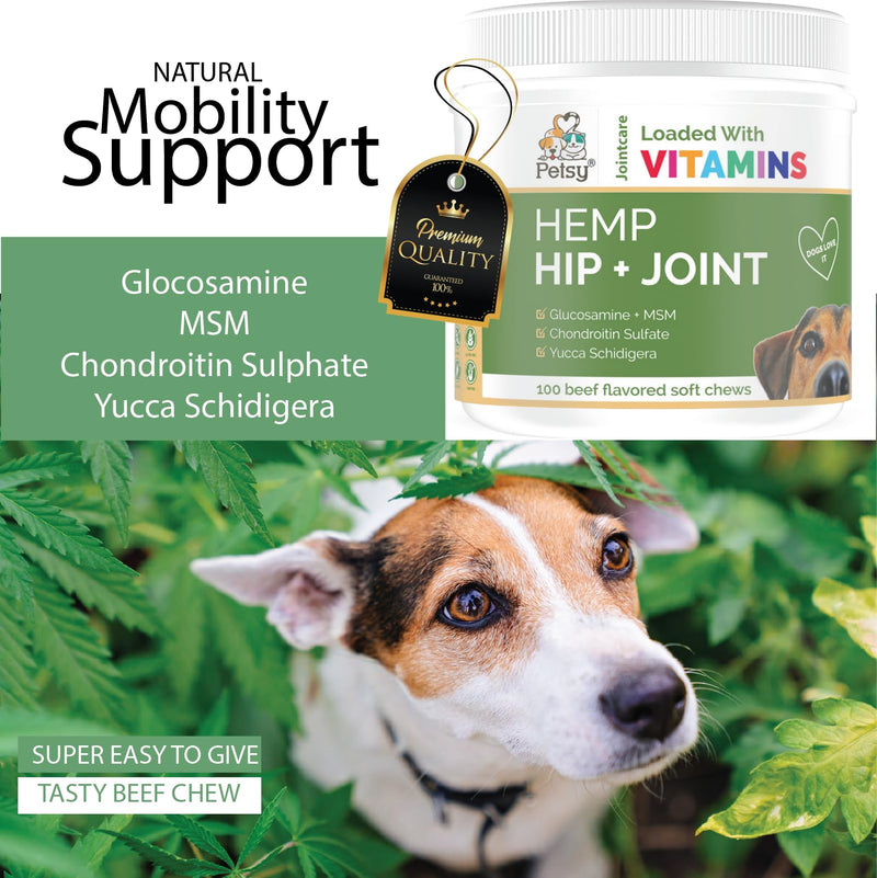 Petsy Hip and Joint Supplements for Dogs CALMING Hemp ACTIVE, Glucosamine, Chondroitin, MSM. Multivitamins |100 SOFT Chews| Daily NATURAL Aid CALMING Hemp oil suitable for All Dogs + Age Related Pain One Tub