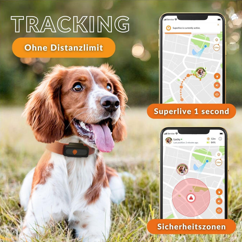 Weenect XS for dogs - NEW mini GPS tracker for dogs | Real-time GPS tracking | Smallest model on the market | Subscription | Waterproof Black (2023) - BeesActive Australia