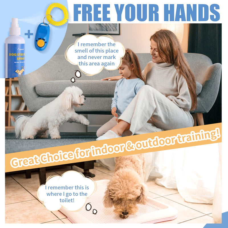 8 oz Spray - Safe and Non-Toxic Formula for Training - Stop Unwanted Peeing - Achieve Effective Dog Training - Not Here Dog Spray - BeesActive Australia
