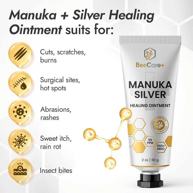 Manuka Honey Ointment 500+ MGO – Dog Hot Spot Treatment for Scratches, Burns, Irritations – Cat Wound Care with 55-PPM Colloidal Silver for Dogs – Manuka + Silver Healing Ointment in a 2-oz Tube Manuka Silver Ointment 2 Fl Oz x 1