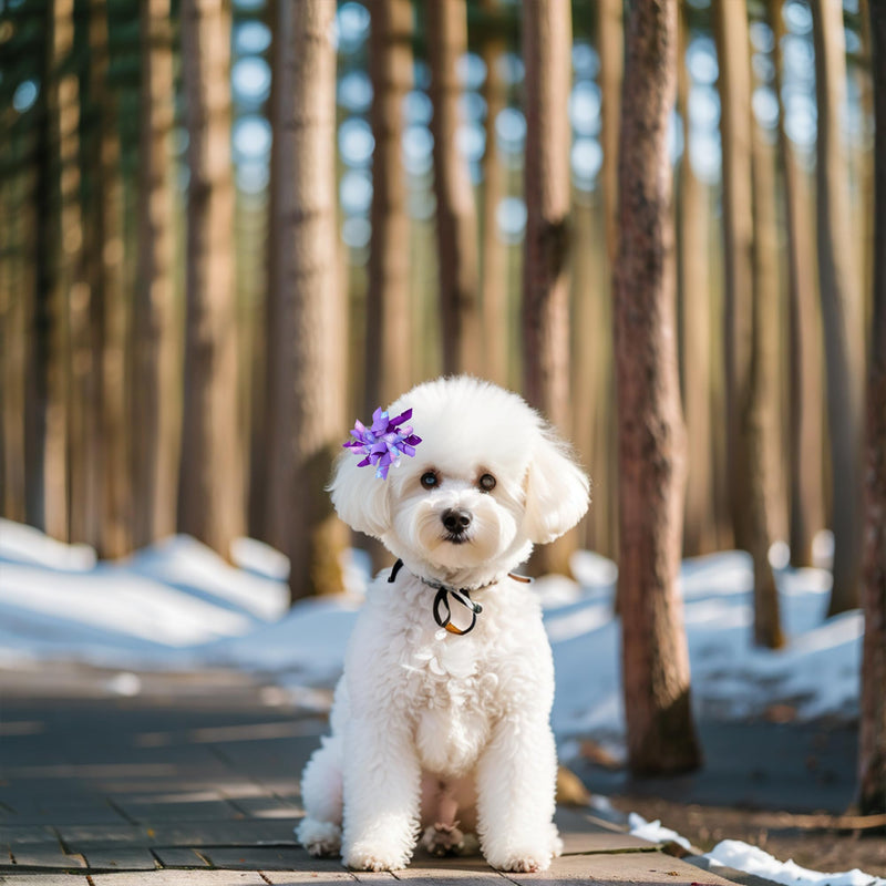 20Pcs/10Pairs Dog Hair Bows Winter with Rubber Band Snow Pattern for Cat Rabbit Puppy Poodle Top Knot Elastic Hair Bowknot Grooming Accessories Attachment - BeesActive Australia