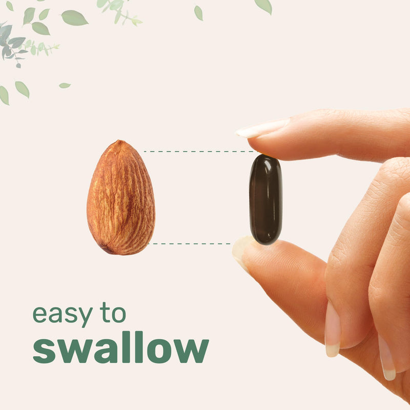 Micro Ingredients Sunflower Lecithin 1,600mg Per Serving, 300 Softgels | Sustainably Farmed Source, Cold Pressed, Rich in Phosphatidyl Choline | Lactation Supplement | Soy Free, Non-GMO - BeesActive Australia