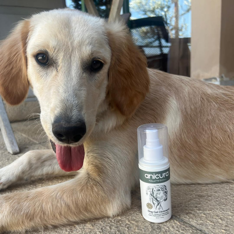 Anicura Dog Skin Ointment – soothes dry, itchy skin, hot spots, eczema & allergies. Reduces scratching & licking. Gentle for sensitive dogs. Value bundle (2 x 100ml Pack)