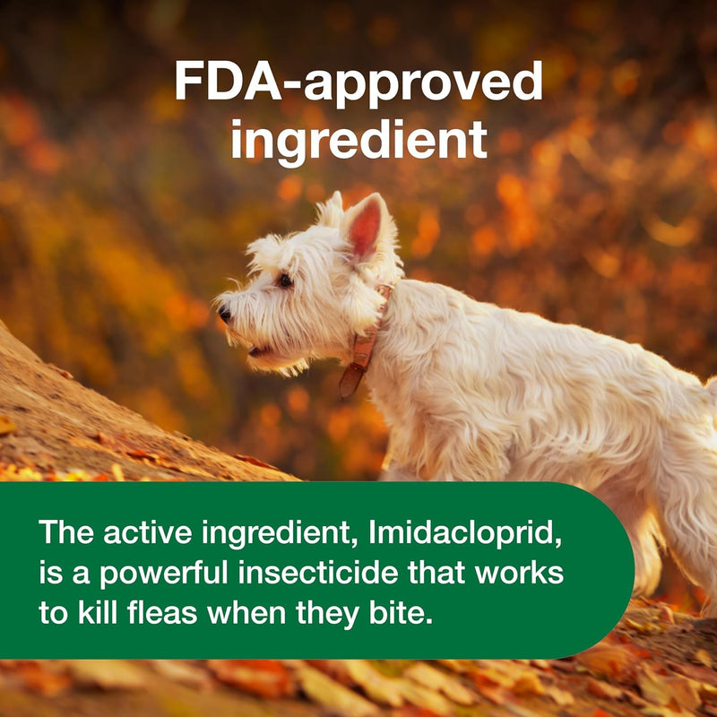 Bundle of Advantus Fast Acting Oral Flea Treatment Soft Chews Dogs 4-22 lbs. | 7 ct. + Advantage Carpet & Upholstery Spot Spray 16 oz.