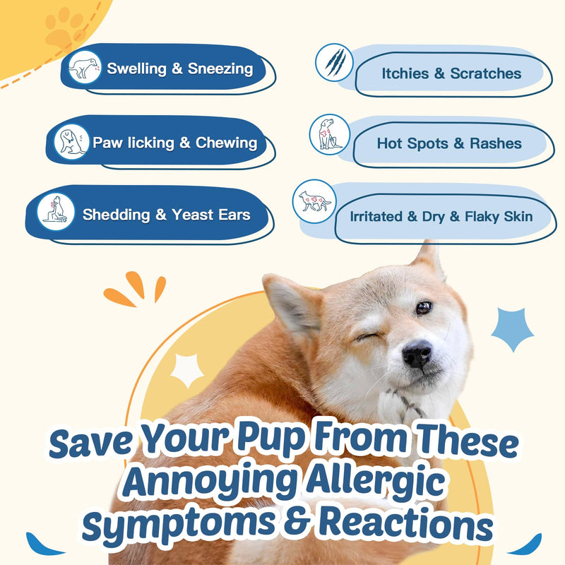 ZEBORA Pumpkin Powder for Dogs & Dog Allergy Chews