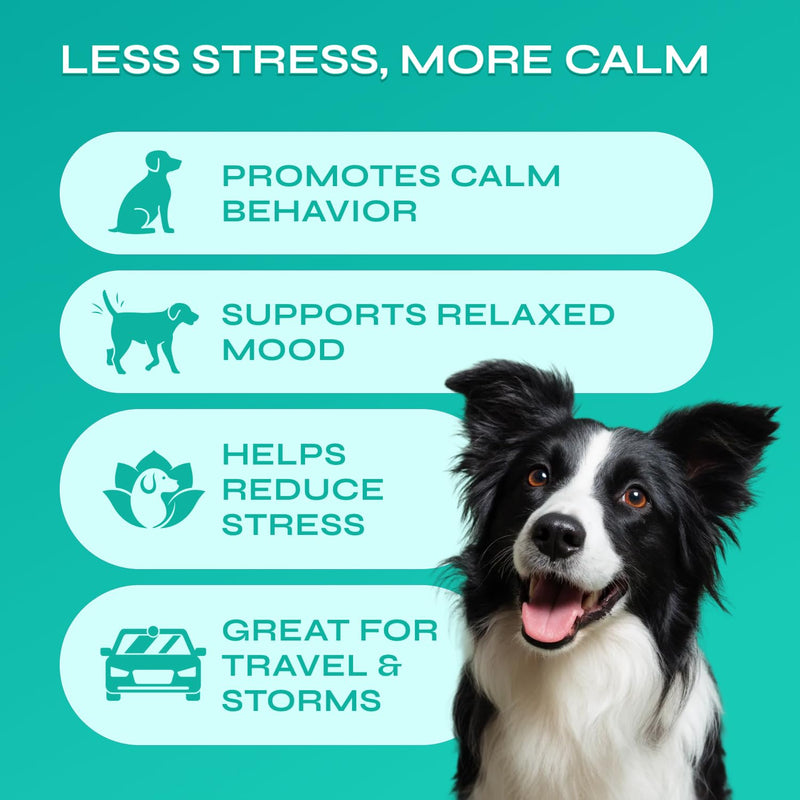 Dog Calming Chews with Hemp - 17,810 mg Hemp Oil per Pack - Soft Calming Chews for Dogs with Melatonin - Relaxation Support for Travel, Grooming, Separation, Thunder, Fireworks - 130 Duck Bites Duck Flavor Calming Chews - 130 count