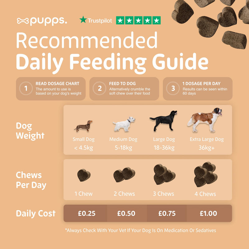 Pupps Hip & Joint Dog Treats – 120 Chews with Glucosamine (1000mg), Green Lipped Mussel & MSM | Joint Support for Dogs of All Ages | Helps Mobility, Stiffness & Comfort | Vet Approved, UK Made 120 x Chews