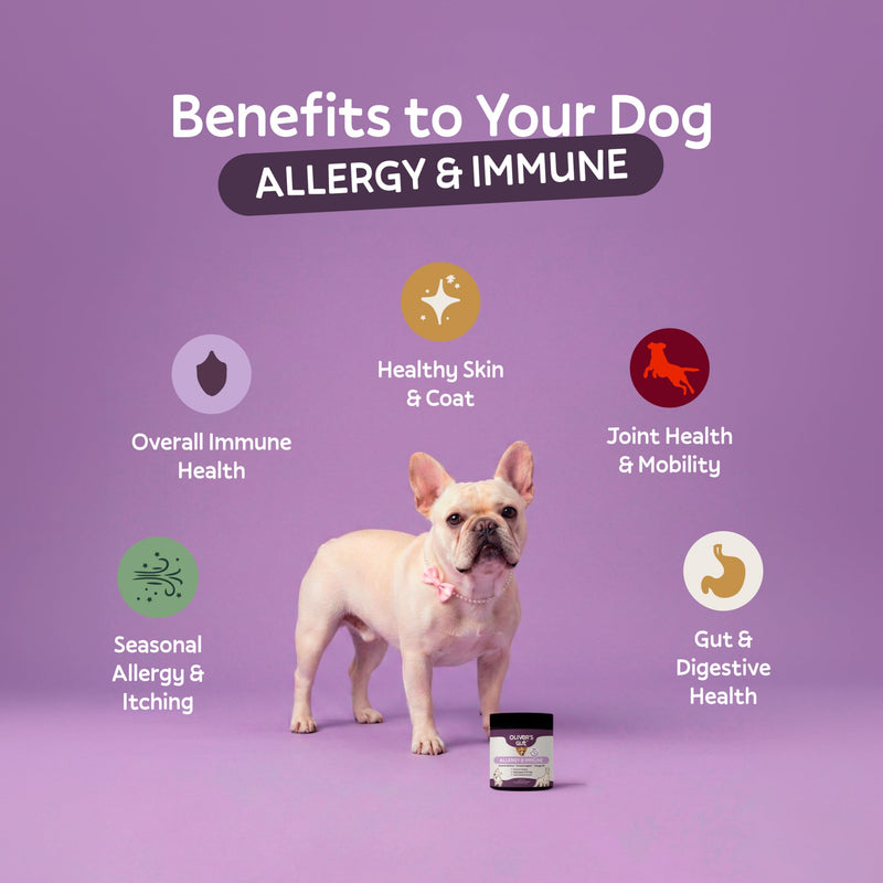 Oliver’s Gut™ Allergy & Immune Chews. Immune Support · Dog Supplement for Itchy Skin and Allergy Aid. Quercetin, Wild Alaskan Salmon Oil, Colostrum, Turmeric. Beef - 120 Count.