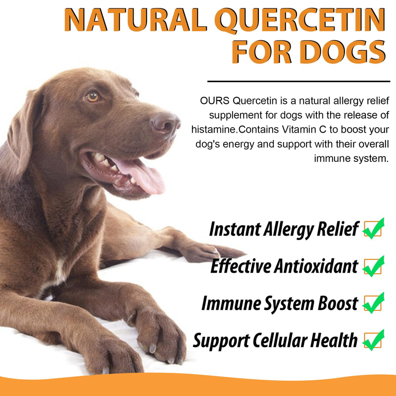 Quercetin for Dogs, Dog Quercetin Liquid Drops Supports Dogs Allergy Relief, Dog Herbal Supplement - Pet SuppliesQuercetin for Dog Itch Remedies - 60 ml / 2 fl.oz - PawsPlanet Australia