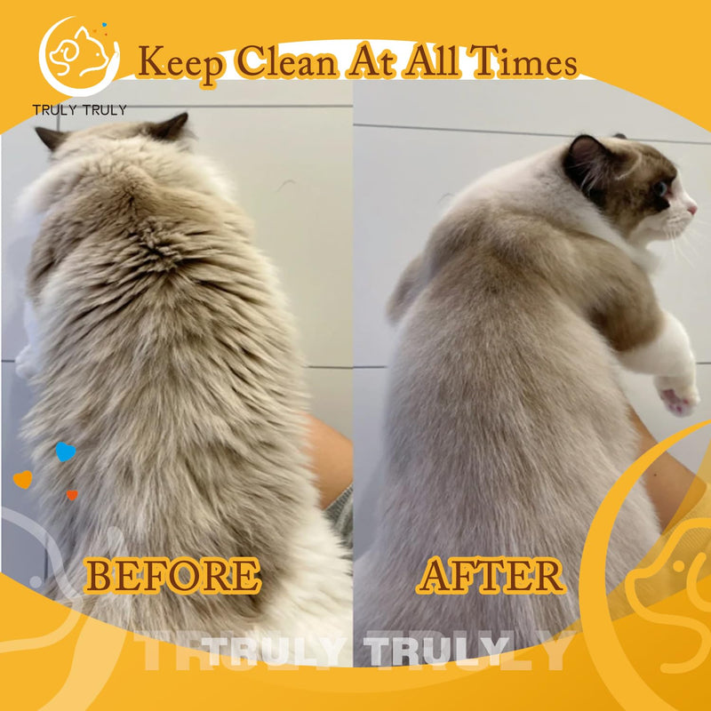 New 3 In1 Cat Steam Brush: Self Cleaning Steam Cat Brush for Massage Cat Grooming Brush Pet Hair Removal Comb (Coffee) Coffee - BeesActive Australia