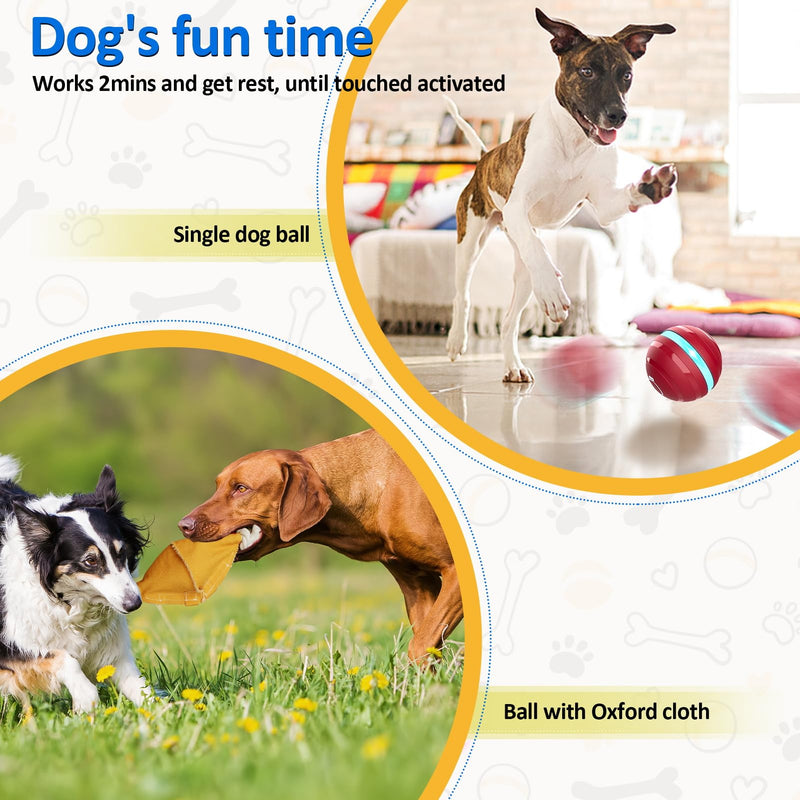 Interactive Dog Balls with Motion Activated, Wicked Ball Squeaky Dog Toy Oxford Bag Keep Dogs Busy (Red Ball) - BeesActive Australia