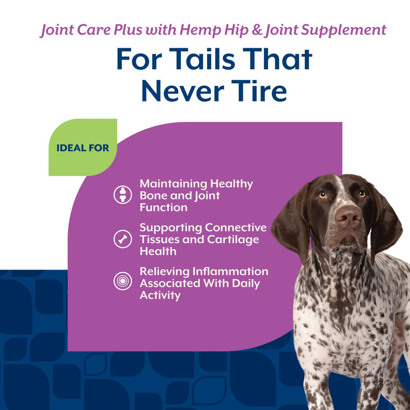 NaturVet Hemp Advanced Joint Health Dog Supplement Soft Chews –Helps Support Joint Health in Dogs – Includes Hemp Seed, Collagen, Glucosamine, MSM, Chondroitin, Omegas – 120 Ct. 120 Soft Chews natural