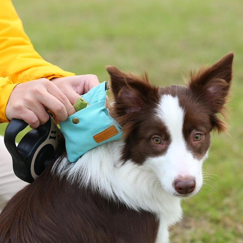 Dog Treat Pouch, Hand Free Dog Training Treat Bag with Carabiner & Magnetic Buckle, Auto Closing Dog Walking Bag for Puppy Travel or Outdoor Use, Pet Feed Snack Reward Pocket Black - BeesActive Australia