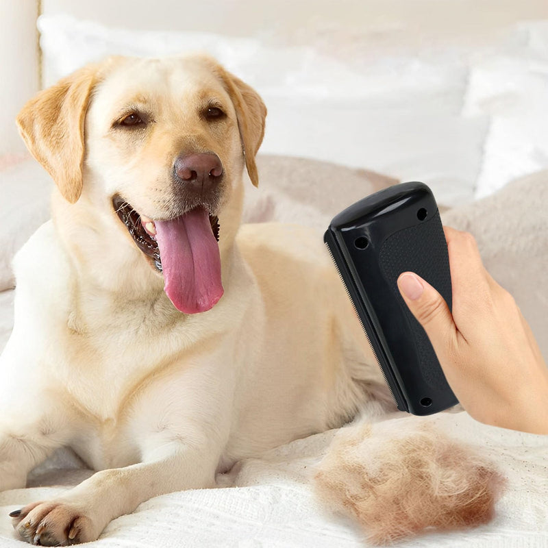Groomify Pet Care Brush, Dog Brush Short Hair, Mr Waggytails Dog Brush, Dog Short Hair Pet Hair Removal Brush, Groom Professional Tool Cat Hair Brush, Fellwunder Brush Dog - BeesActive Australia