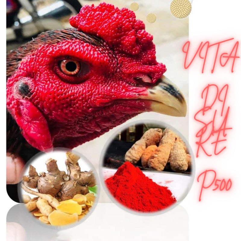 HULX VITA DISUKE P500 50 Tablets, Herbal Extract Rooster Booster Vitamins Chicken Supplement for Bird Flying Competition, Blood, Endurance Leg & Wing, Energy Power Feed Hen Food - PawsPlanet Australia