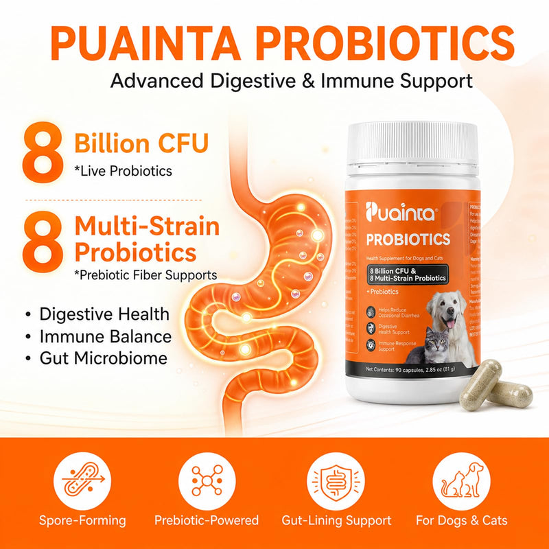PUAINTA Probiotics for Dogs & Cats – 8-Strain Probiotic with Prebiotics for Digestive & Gut Health, Immune & Stool Support, Helps Dogs Eating Dirt, Grass & Non-Food Items (90 Count) 90 Count