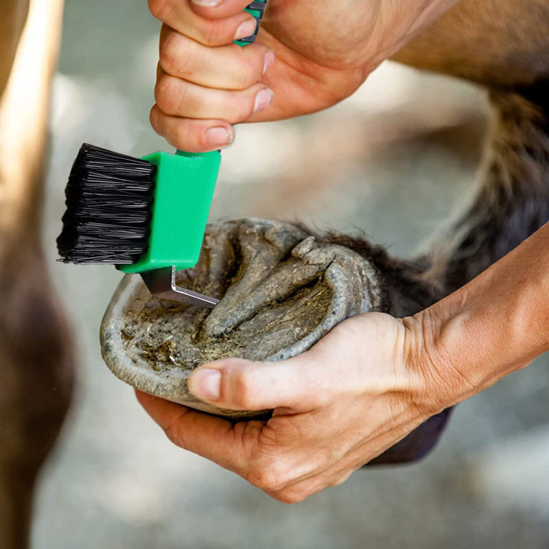 Horse Hoof Pick Brush with Handle, Sturdy Hoofpick Brush, Horseshoe Brush Horses Hoof Groove Cleaner for Horses, Donkey, Goat, Tires and Hiking Boots(Random Colour) - BeesActive Australia