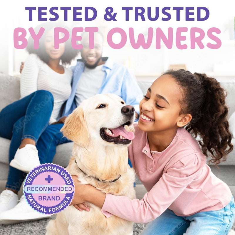 Dog Allergy & Immunity Boost Drops 60ml - Bacon Flavour Natural Itchy Skin Relief, Liver Support & Anti-Inflammatory Supplement for Dogs of All Breeds