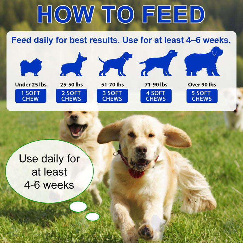 Probiotics for Dogs, 150Pcs Probiotics for Dogs Gut Health, Pre and Probiotic for Dog Digestive Health Support, Gut Health & Immunity, Duck Flavor