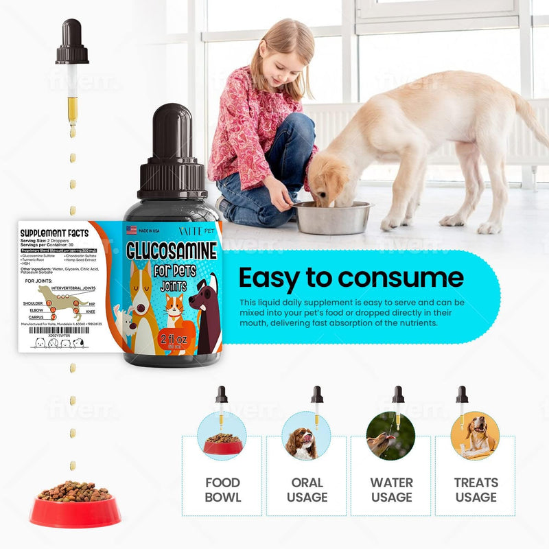 Hip & Joint Glucosamine Drops for Pets - Advanced Formula with Glucosamine, Chondroitin & MSM - Enhances Mobility Support - Natural Pain Relief for Dogs and Cats - Anxiety Supplement for Senior Pets - BeesActive Australia