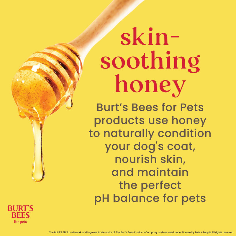 Burt's Bees for Pets Itch Soothing Spray for Dogs, Prebiotics Collection with Mushroom Extract & Green Tea, Naturally Derived Dog Itching Skin Relief Spray, 10oz 10 Fl Oz (Pack of 1)