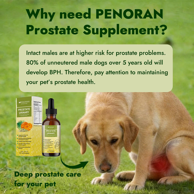 Prostate Urinary Support Drops for Dogs, Saw Palmetto Pumpkin Seed Extract | for Male & Female Dogs & Cats, Supports Bladder & Urinary Comfort, Coat & Hormone Support, Eases Incontinence & Straining