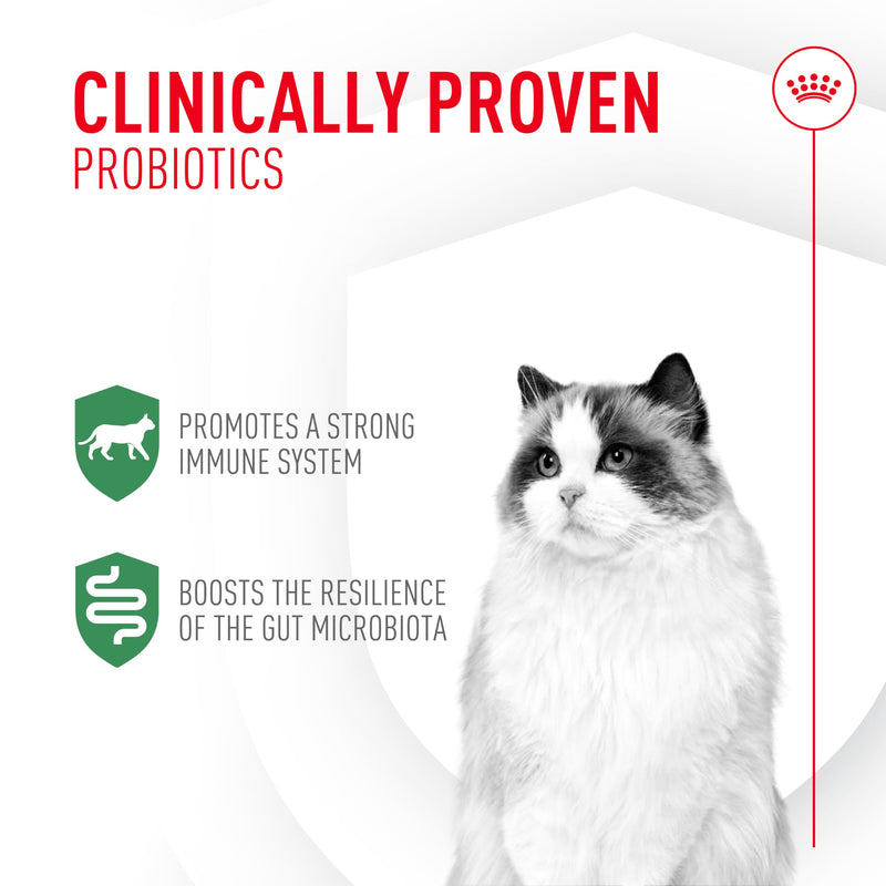 Royal Canin Probiotics for Cats Digestive and Immune Health Powder Supplement for Cats of All Ages, 30 Count