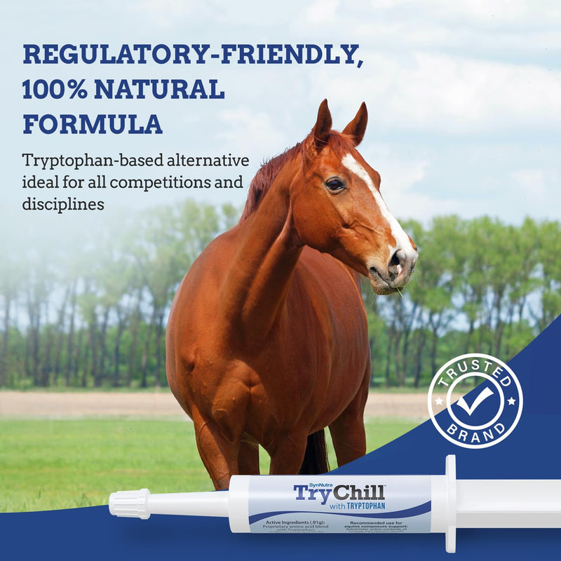 SynNutra TryChill™ 3 Pack | L-Tryptophan–Based Confidence & Composure Support for Horses | Non-Sedating, Show-Safe Formula | Supports Focus & Performance | 100% Natural | Made in USA 3-Pack