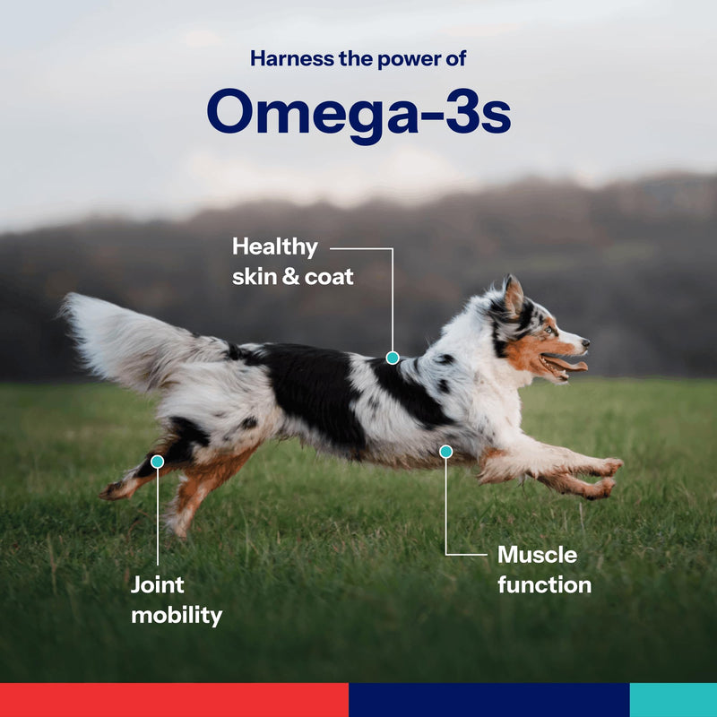 Omega-3 Soft Gels for Medium Dogs – Essential Fatty Acids with Vitamins A, E & D3 – Skin, Coat & Joint Supplement – 60 Count Medium/Large - 60 count