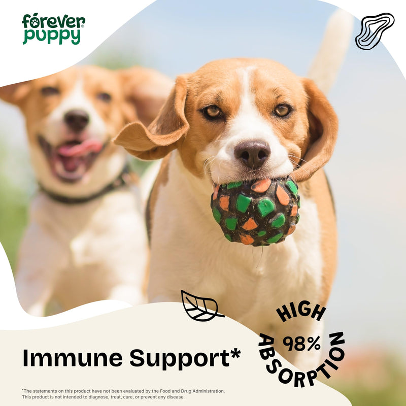 Echinacea Drops for Dogs - Respiratory Health & Immunity Support w/Echinacea Herb Tincture - Liquid Immune Support Supplement for Dogs of All Breeds & Sizes - 2 oz 2 fl oz - PawsPlanet Australia