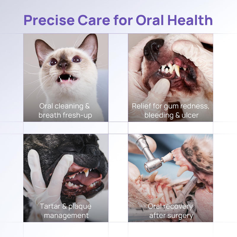 HICC PET Dog Dental Gel, Effective No-Brush Liquid Teeth Cleaner for Dogs and Cats, Helps Reduce Plaque & Tartar, Supports Daily Gum Comfort, 60ml, No More Bad Breath.