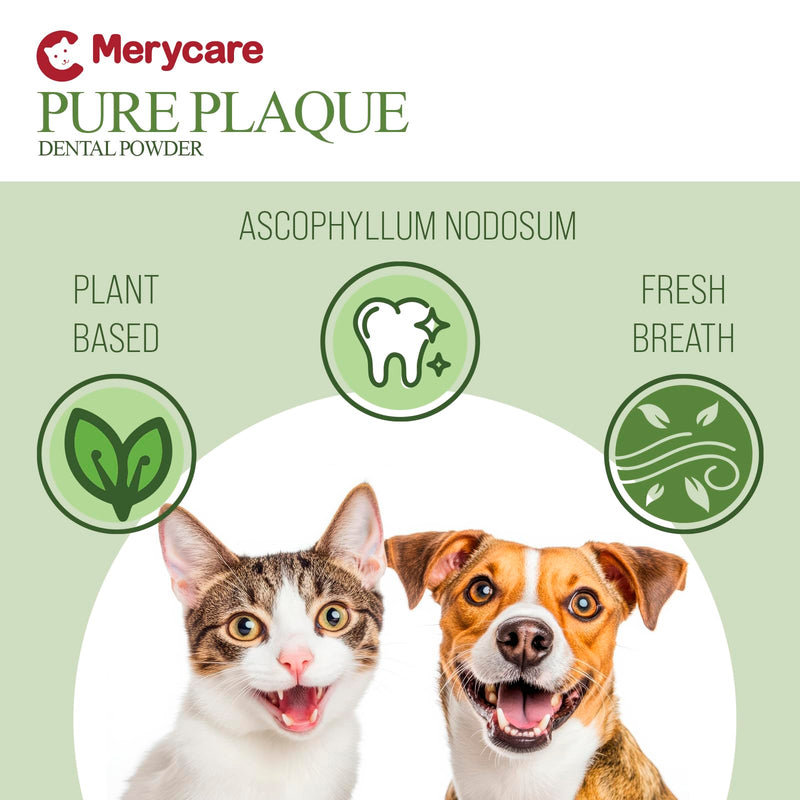 Pure Plaque Off Vet-Approved Dental Powder for Dogs & Cats | 100% Natural Teeth Cleaner with Seaweed | Plaque & Tartar Remover | Freshens Breath | No Brushing Needed (50g)